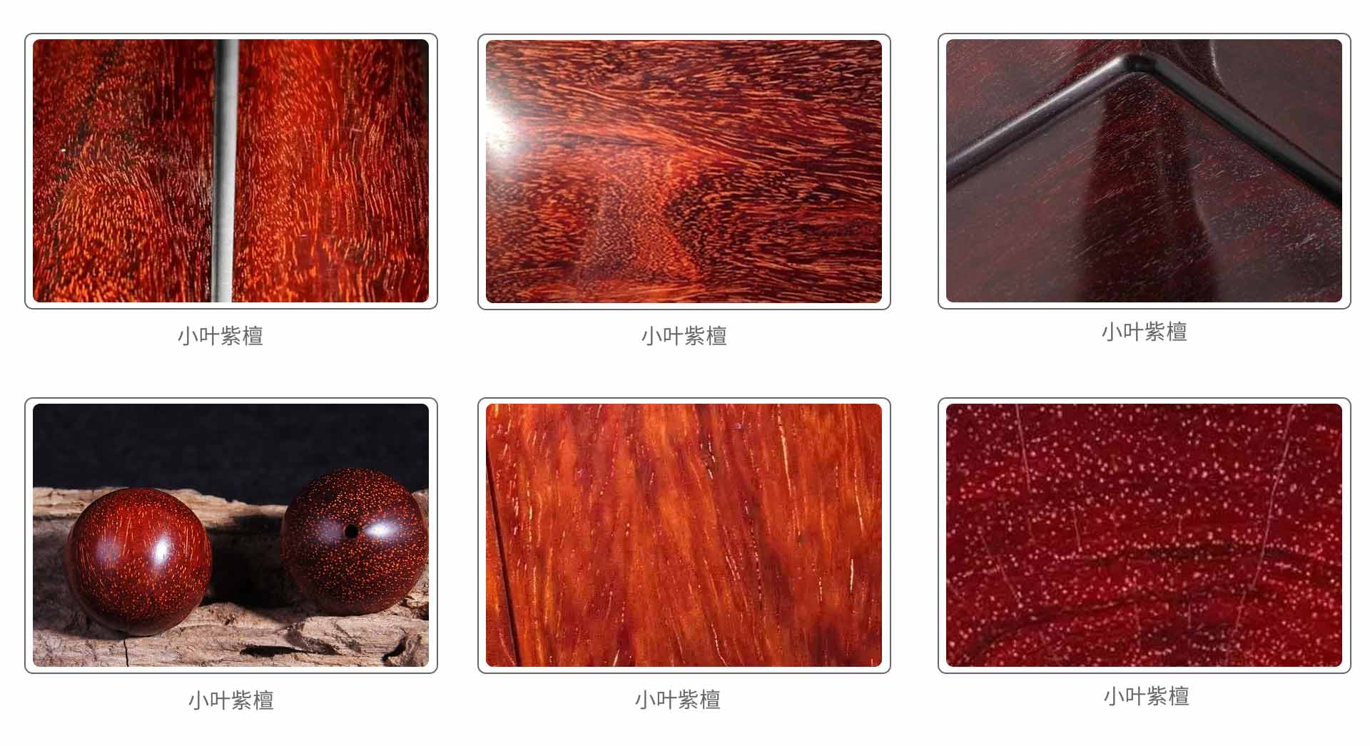 小葉紫檀